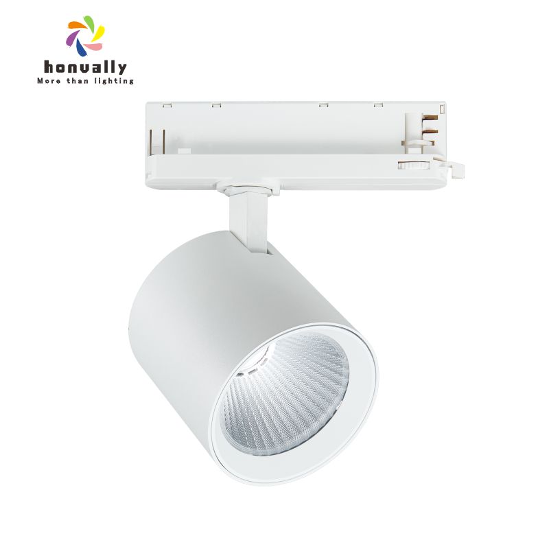 Museum COB Track Light | High CRI 90+ Color Tunable Gallery Spot Light, Adjustable Power Rail Light for Artwork Display